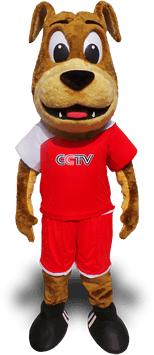 BULLDOG MASCOT COSTUME