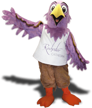 EAGLE MASCOT COSTUMES