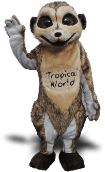MEERKAT MASCOT COSTUME