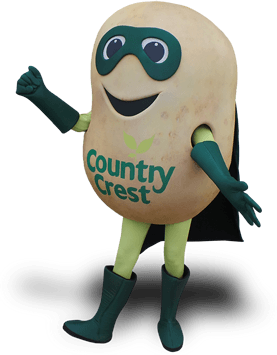VEGETABLE MASCOT COSTUMES