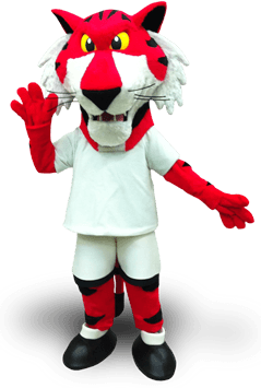 FROG MASCOT COSTUMES