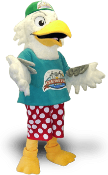 SEAGULL MASCOT COSTUMES